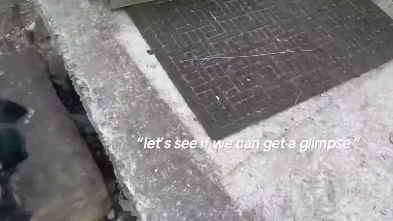 回声